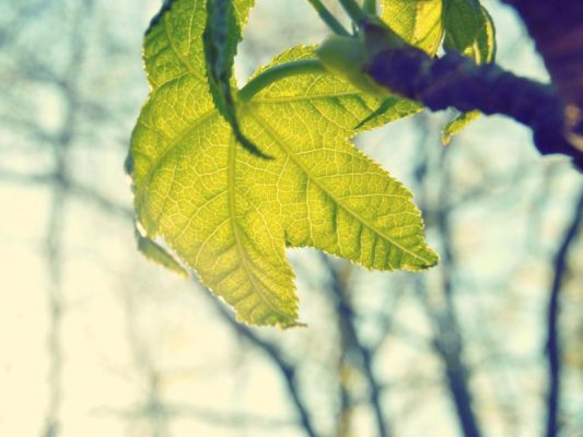 4844828c-bad4-3ac6-95f8-34a371bd3936