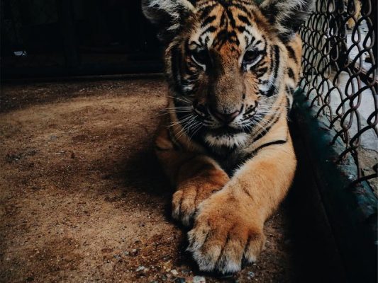 9af7fa45-9baa-3f85-95e4-94f645aadf3c